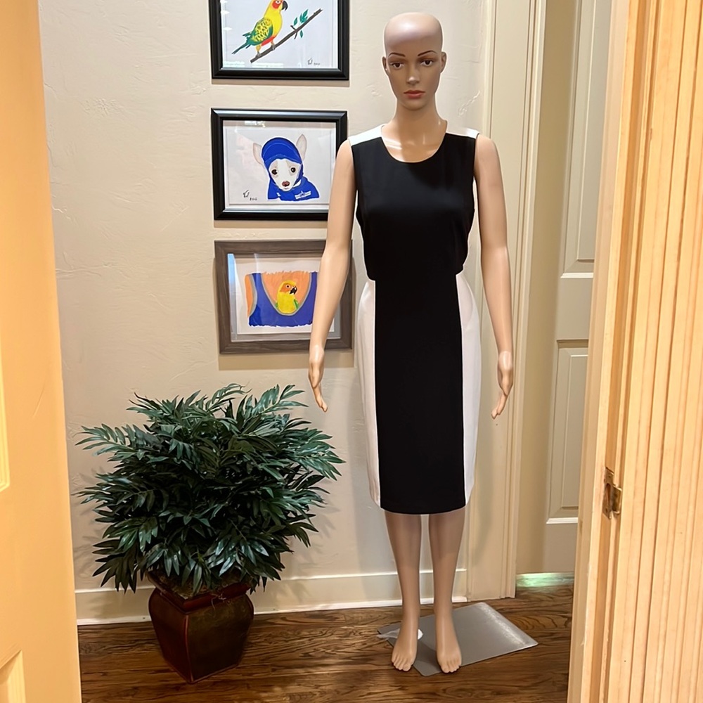 Chico’s Dress